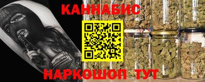 спиды Новодвинск