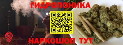 стаф Новокубанск